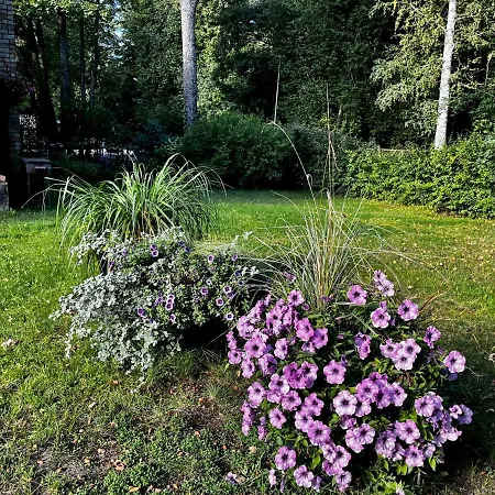 Seaside Apartment Jurmala Exterior photo